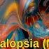 The Blizzard Kalopsia Matt Fax Remix ASOT Utrecht Reflexion Day 2 04 03 2023
