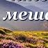 Стихи Спасибо всем кто нам мешает Наталья Дроздова