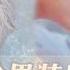 霸总醉酒睡了假少爷 傻白甜伪男身份藏四年 带球跑后他全球通缉 MultiSub 女扮男装后郁先生动了心 Shortdrama