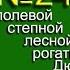 Жаворонок полевой лесной степной рогатый Голоса птиц