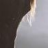 Equus Story Of The Horse Chasing The Wind PBS Nature Documentary