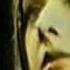 Curved Air Melinda More Or Less Live 72
