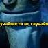Случайности не случайны кунгфупанда шифу мастеругвей мудрость