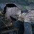King Arthur 2017 Opening Scene FHD Giant Elephant