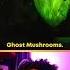 Are Ghost Mushrooms Edible Mushroom That Glows In The Dark