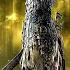 Elden Ring Nightreign All Bosses Ending 4K 60FPS