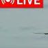 LIVE Crosswind Landings At Amsterdam Schiphol RWY 18R Polderbaan Arrivals June 1 2025