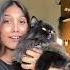 Meri Billo Cat Cutecat