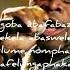 Mandoza Respect Kwaito Southafrica Africa Kwaito The Father Of Amapiano