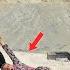 عسلThe Husband And First Wife Returned Home Sick The Second Wife Was Strongly Against It