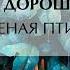 Влас Дорошевич Зелёная птица Читает Владислав Поздеев