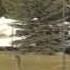 CampgroundViews Com North American RV Park Yurt Village Coram Montana MT