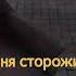 Как Крейси меня сторожила