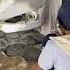 Body Repair Sigra Purwodadi Bodyrepair Catduco Otomotif Grobogan Purwodadi Viral Bengkel