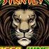 RAGGA JUNGLE Jump Up DnB DRUM AND BASS Mix 2025 Www Strictlyraggajungle Com Radio