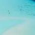 Endless Blue Coco Sand Beach Maafushi Maldives WayWe Sandbank Maldives Travel Shorts
