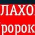 Как прошла встреча с АЛЛАХОМ У Пророка Мухаммада