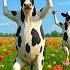 Cow Song Cow Videos 2024 Cow Dance Mix Funny Dancing Cow Mooing Cow Moo