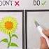 How To Draw A Sunflower Art Drawing Tutorial