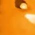 RQ All Preview 2 Classic Sunny Bunnies Deepfakes V4 With Removed Songs In Jazz Vocoder