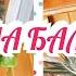 МОЯ ЦВЕТОЧНАЯ ПОЛЯНА