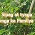 Gulay Para Sa Makulay Na Buhay Gulay Shortvideo