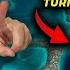 WATCH THIS VIDEO TO THE END I FLYED TO THE MOST FAMOUS DIVING SITE IN THE WORLD