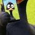 Black Duck Finds A Lost Phone Trendingshorts Blackduck Phone