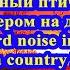 Невероятный птичий базар вечером на даче Incredible Bird Noise In The Evening Near A Country House