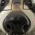 Pov You Re Goofy Raccoon Energy Boost Playlist