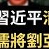 死缓 空军上将刘亚洲家族遭清洗 习近平铲除军队太子党 改革派全军覆没 前国家主席李先念的女婿也不放过