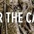 Under The Canopy 360 Video Conservation International CI