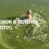 ВЕСЁЛОЕ БОЛОТО