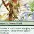 Underrated Budget Card For Commander Stone Seeder Hierophant