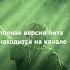 PEPEL NAHUDI X NEWLIGHTCHILD Type Beat Pepelnahuditypebeat Newlightchildtypebeat