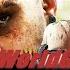 Прохождение Far Cry 3 20 После 12 Старые шахты и задания с доски