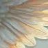 Paul Van Dyk For An Angel Southmind Edit