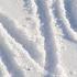 Der Fallende Schnee The Falling Snow Waltz Piano Music By Christopher Rapkin