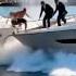 Two Luxury Yachts Collided Near The Dock Metal Scraped Voices Rose And Tension Thickened