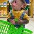 Super Chef Cubis Monkey Goes Shopping Help Dad