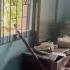 Everything Gone Thieves Ransack Irwin Property Amid Road Work In St James TVJ New