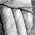 What Is Daiba Plotting BERSERK Ch 381