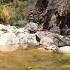 El Rio Mexico Rio Jungle Puertovallarta