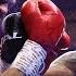 Riyadh Season Shakur Stevenson Vs Josh Padley Fight Highlights Beterbiev Vs Bivol 2