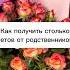 А сколько людей пришло к вам на выписку в роддом музыка Shortvideo Baby роды роддом малыш