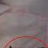 Don T Be Afraid We Ll Love You The Couple Found Anbandoned Lind Dog While Walking On The Street
