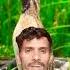 Batair Ki Awaz Batair Sound Vol Common Quail Coturnix Quail Sound Quail For Hunting