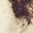 Passion The Last Temptation Of Christ Soundtrack Track 3 Of These Hope Peter Gabriel