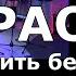 Как жить без весны Караоке из к ф Гардемарины вперёд