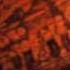 Wouldn T It Be Nice 1999 Remaster The Beach Boys Music Video By Lomotif
